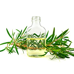 Mamaearth Tea Tree Face Serum for Acne Prone skin 30 ml