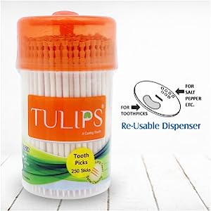 Tulips Wooden Toothpicks 250 Sticks