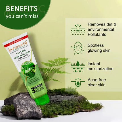 Aryanveda Mix Fruit Face Scrub & 2 PIS Tea Tree With Neem