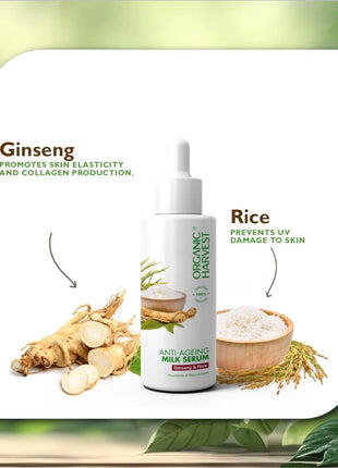 Organic Harvest Anti-Ageing Milk Serum:Ginseng & Rice - FACE