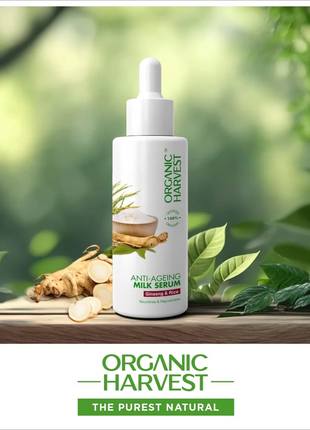 Organic Harvest Anti-Ageing Milk Serum:Ginseng & Rice - FACE