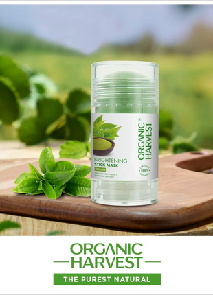 Organic Harvest Brightening Stick Mask: Matcha - FACE MASK