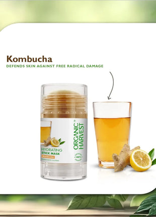 Organic Harvest Hydrating Stick Mask: Kombucha - FACE MASK