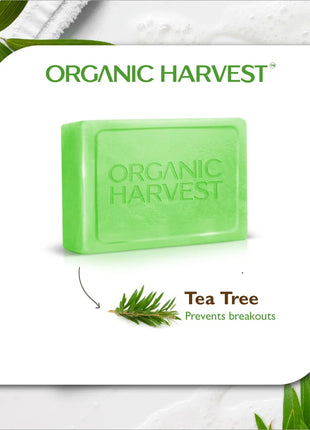 Organic Harvest Luxurious Bathing Bar pack of 2 - BATH SHOP