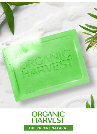 Organic Harvest Luxurious Bathing Bar pack of 2 - BATH SHOP