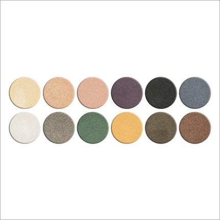 Swiss Beauty 12 Ultra Professional Eyeshadow Palette - Shade