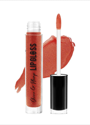 Swiss Beauty Shine & Plump LIP GLOSS - Shade No. 6 — WINE