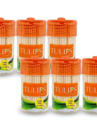 Tulips Wooden Toothpicks 250 Sticks PACK OF 6 - TOOTHPICK