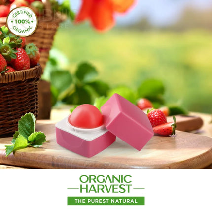 Organic Harvest Lily Flavour Lip Balm 10 gm - LIP BALM
