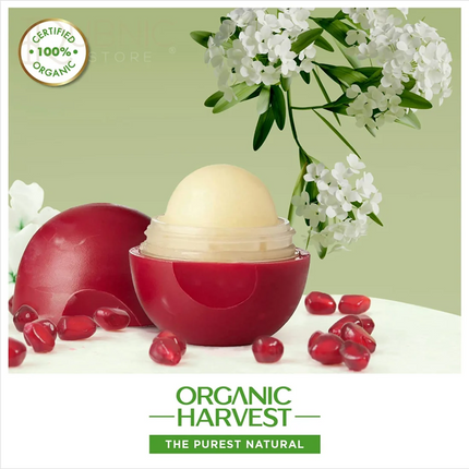Organic Harvest Pomegranate Lip Balm 10 gm - LIP BALM