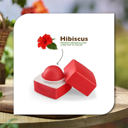 Organic Harvest Red Hibiscus Flavor Lip Balm 10gm - LIP BALM
