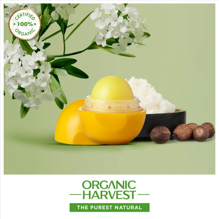 Organic Harvest Shea Butter LIP BALM 8 gm - LIP BALM